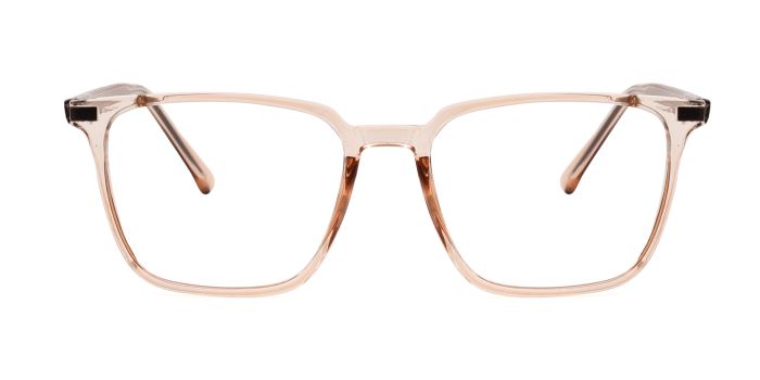  Brown Transparent Full Frame Wayfarer Eyeglasses for Men and Women